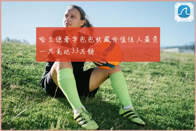 哈兰德奢华包包收藏价值惊人最贵一只竟达33万镑